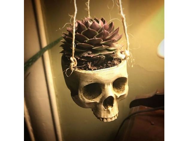 Skull Plant Hanger