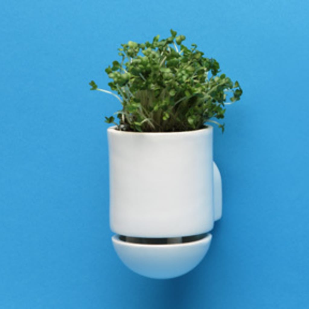George and ALIC3-D's Combination Planter-Cabinet Handle