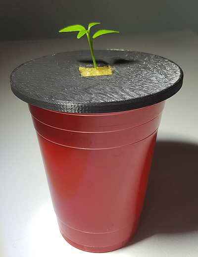 Solo Cup Kratky Planter (fits 1-inch Rockwool)
