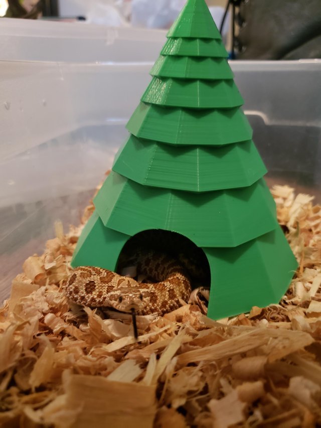 tree reptile hide
