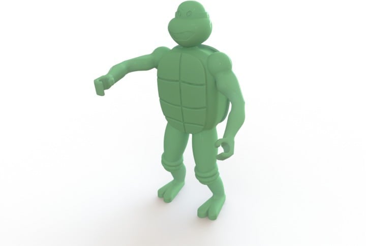 Mutated Turtle who may or may not have studied martial arts