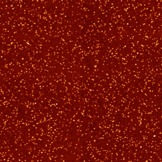 AFM gold nanoparticles
