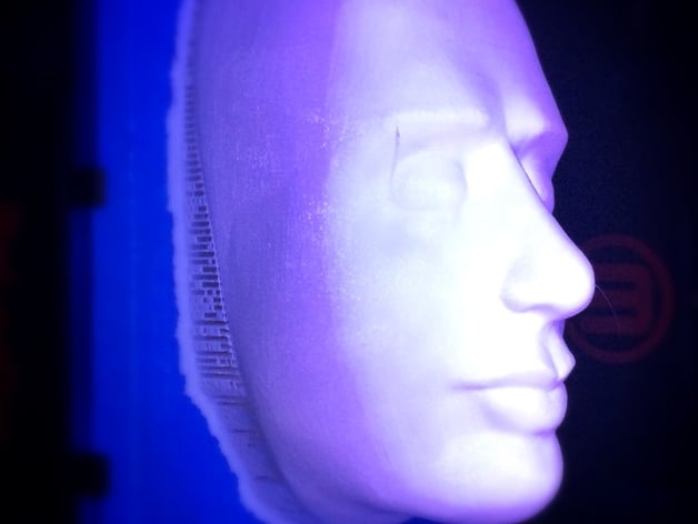 Human Face Great for Retrofitting A Blank Foam Manikin Head