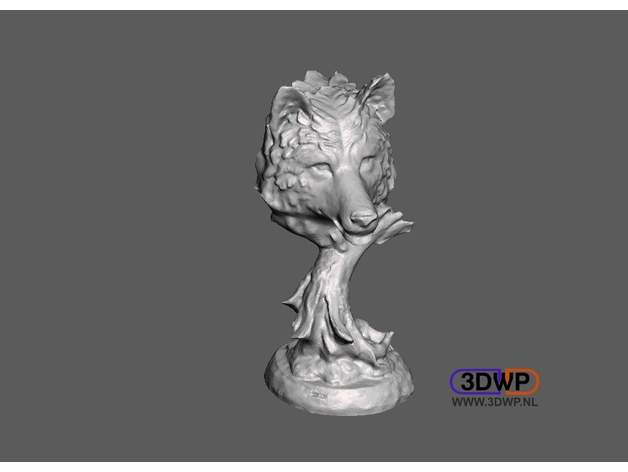 Wolf Head 3D Scan