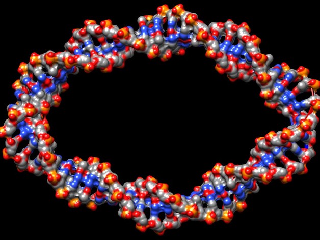 DNA CHIMERA & GRAPHITE