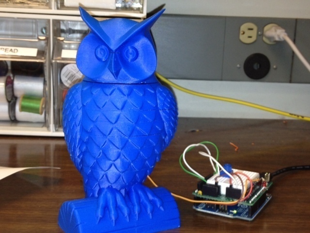 owl