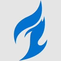 Overwatch League Dallas Fuel Logo Keychain