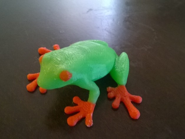 Dual colored Tree Frog
