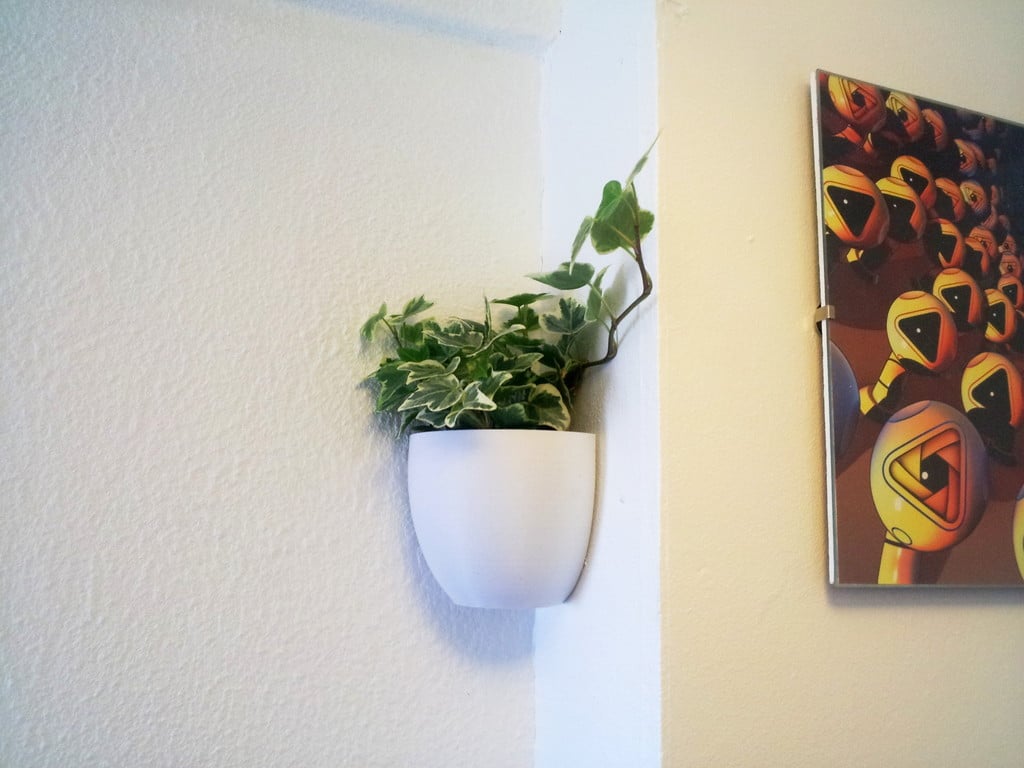 Little Planter