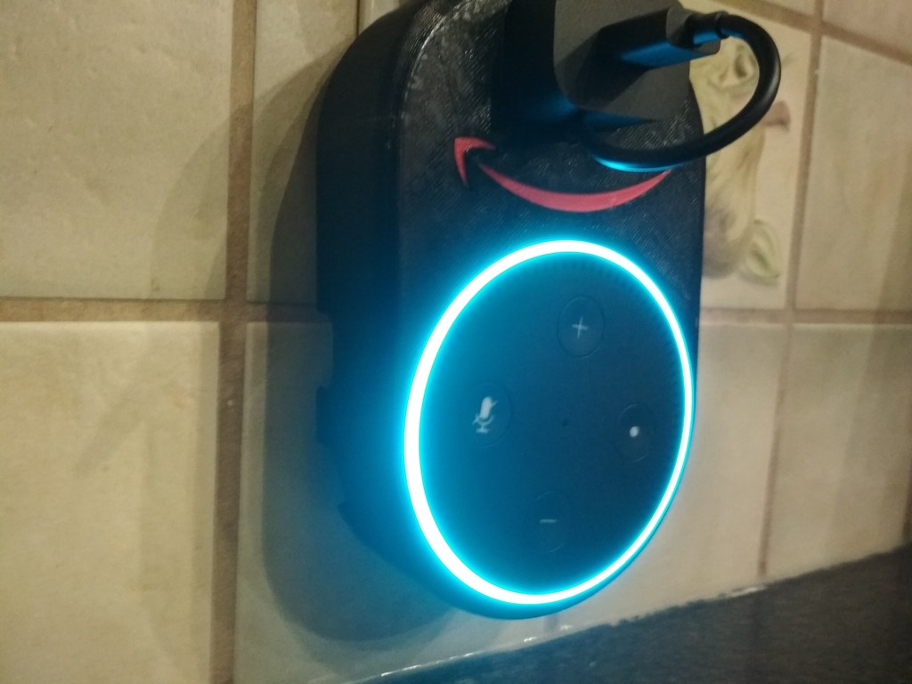 Amazon Echo Dot Plug Mount
