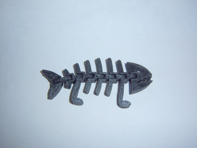 Fish Fossilz Darwin Edition