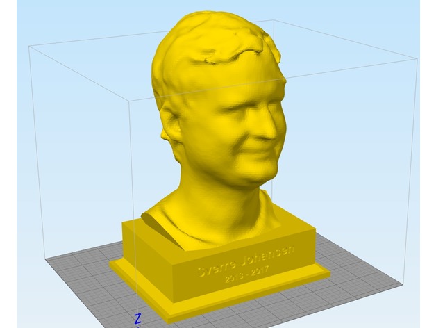 The Great Sverre (human head 3D scan)