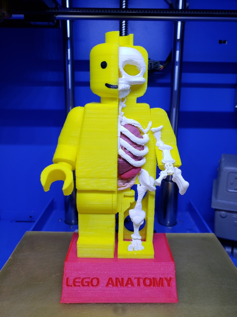 Lego Minifigure Anatomy
