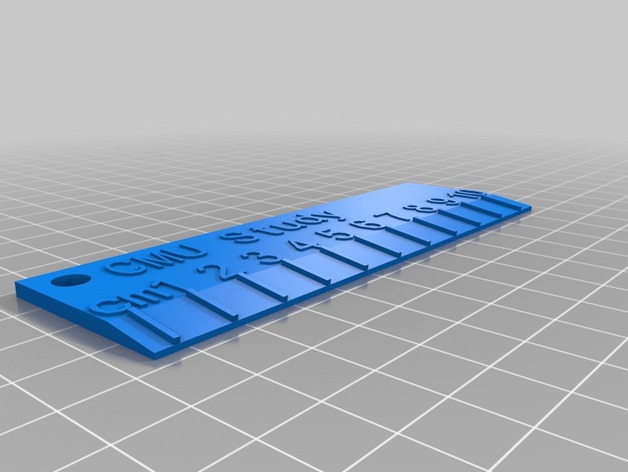 My Customized 3D Name Ruler