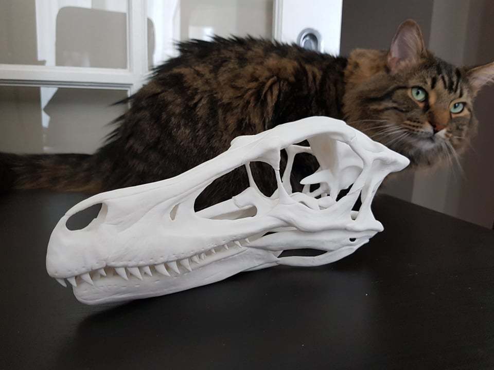 Full size velociraptor skull - Easier print