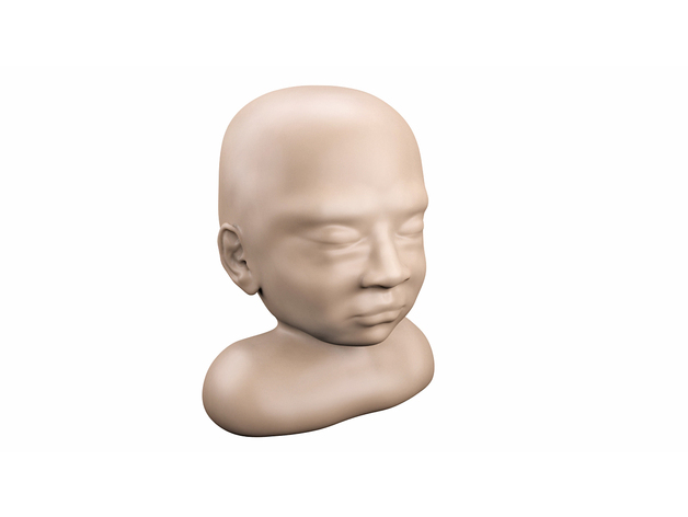 Baby Head