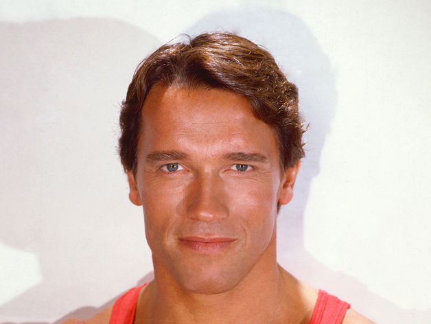Arnold Schwarzenegger Head