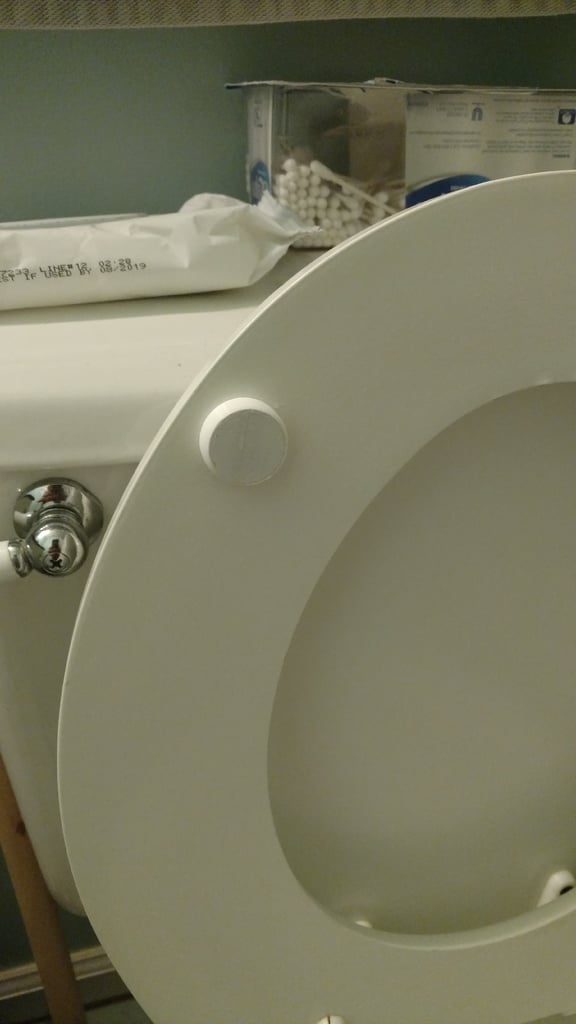 Toilet seat bumper