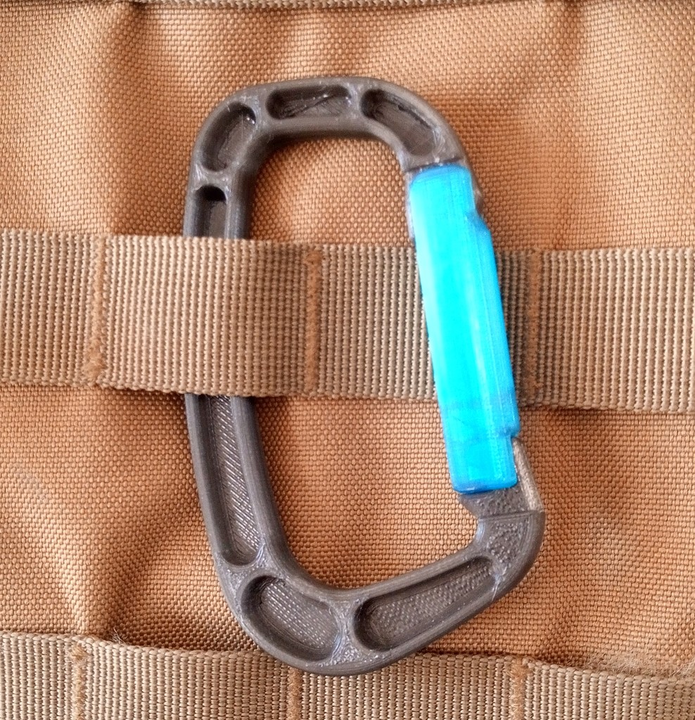 Carabiner with Lock