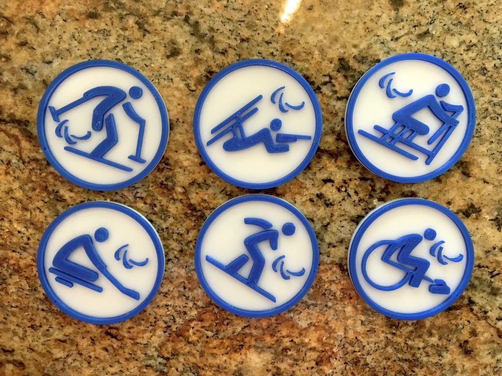 Winter Paralympic Sport Disks