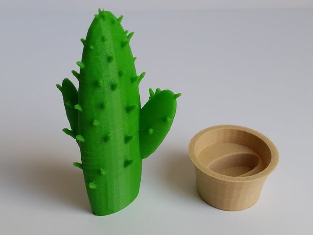 Cactus in a pot
