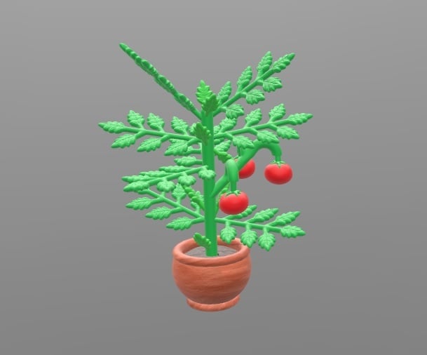 Tomato plant with removable tomatoes