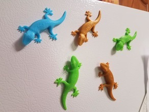 Gecko Magnet 3D model