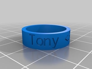 Tony <3 Amy Ring Size 8