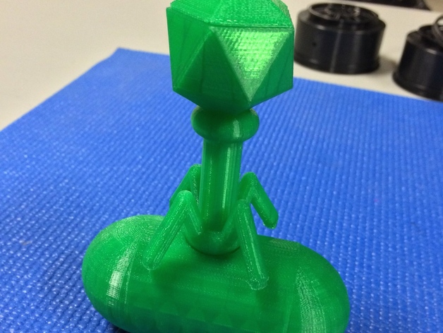 Educational Model of A Bacteriophage