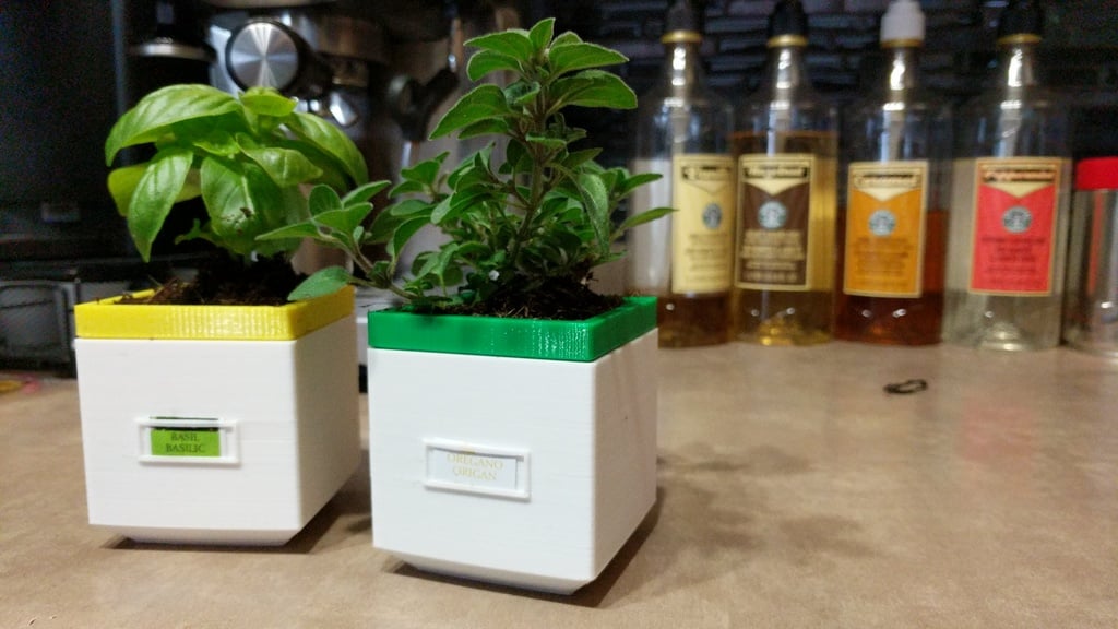 Square Self-Watering Planter (Mini)