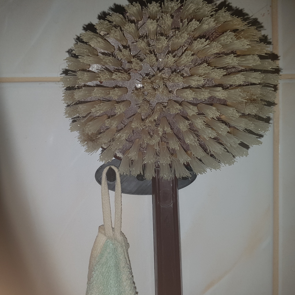 Bath brush/towel hanger