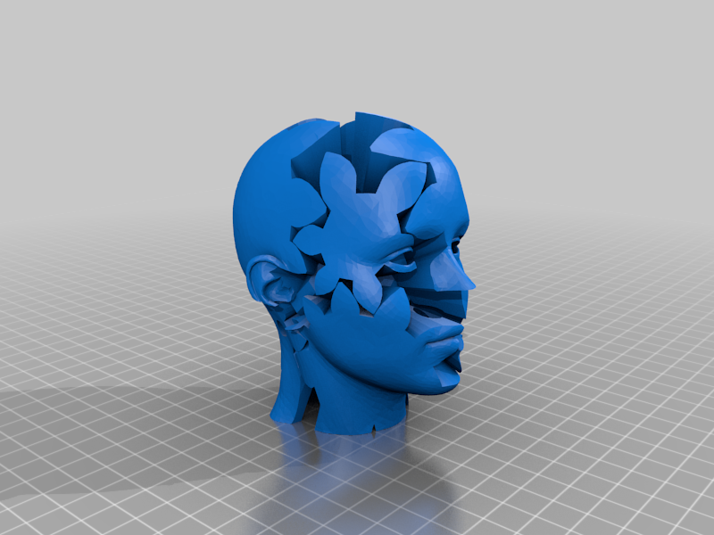Custom Twisting Gears