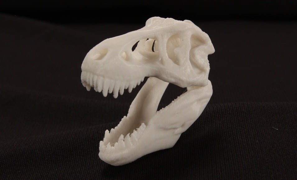 MakerBot Pocket T-Rex Skull