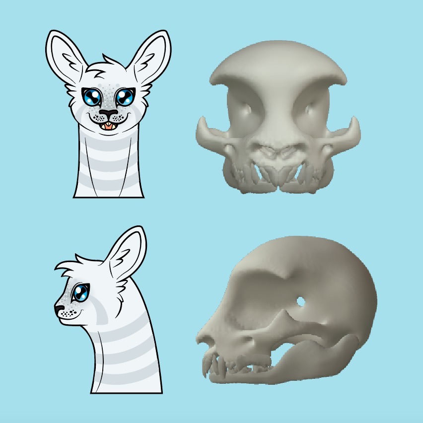 Fletcher's Skull (Version 2)