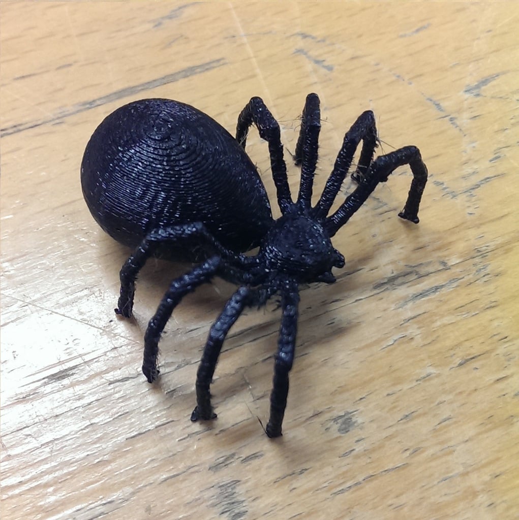 Steven the Spider