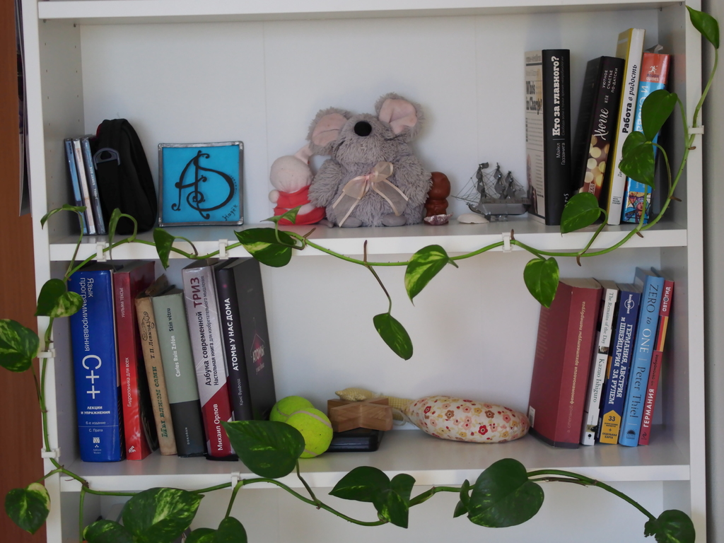 Shelf brackets for ivy