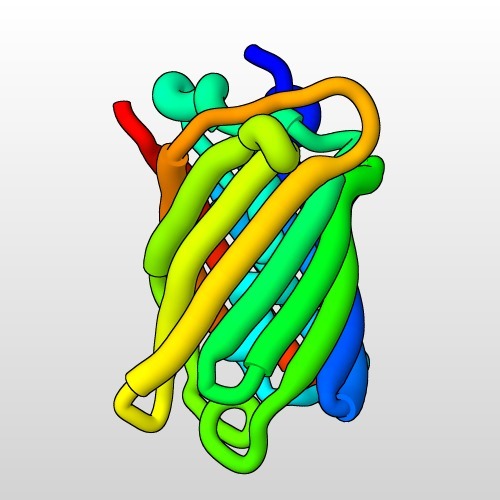 GFP - Green fluorescent protein (1GFL)