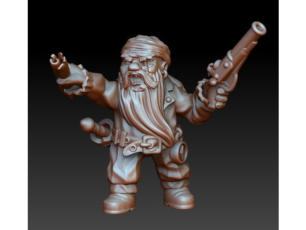 Image of Dwarf pirate