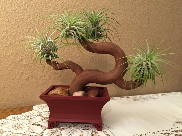 Bonsai Tree and Pot