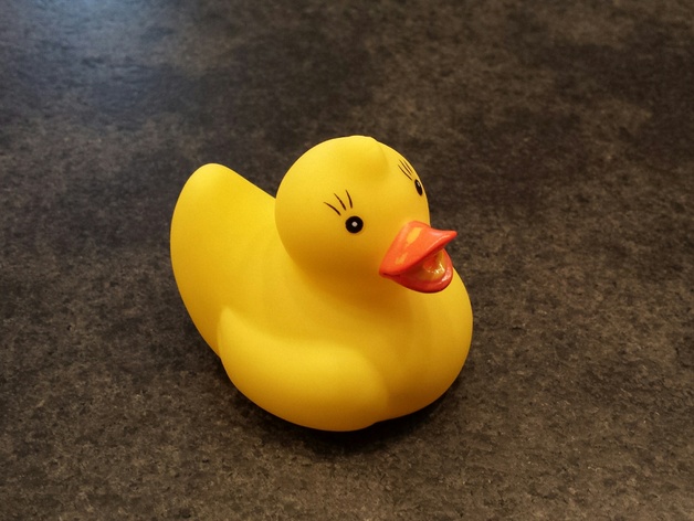 Canard (duck)