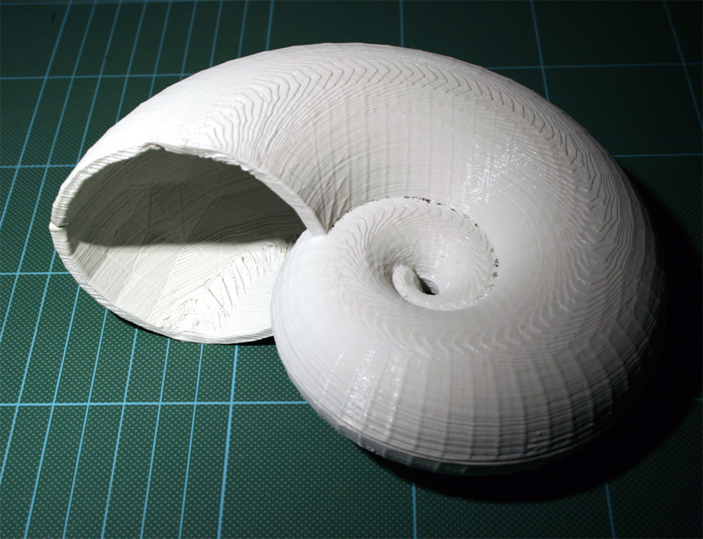 Full Nautilus Shell (project shellter)
