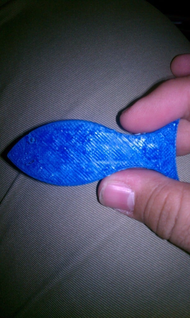 Fish Shaped Casting Plug