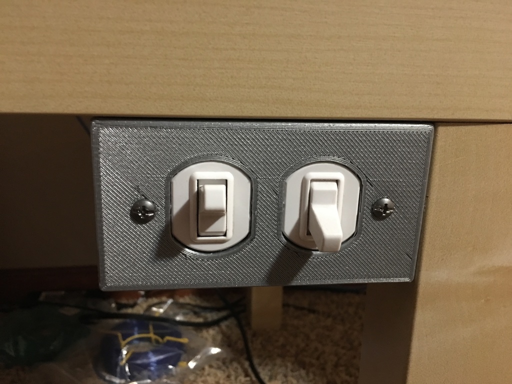 Dual Light Switch Cover