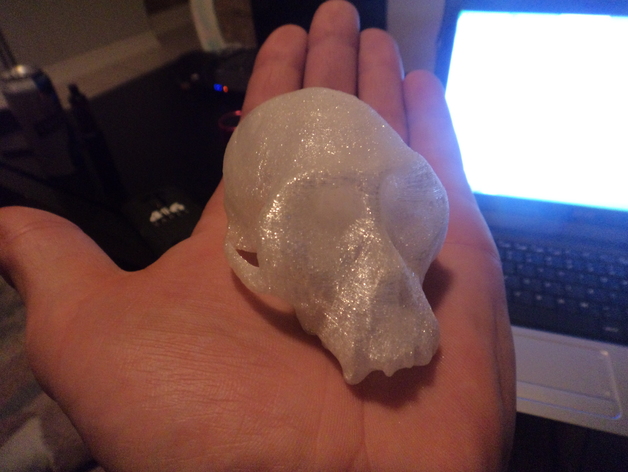 monkey skull 1 GiS
