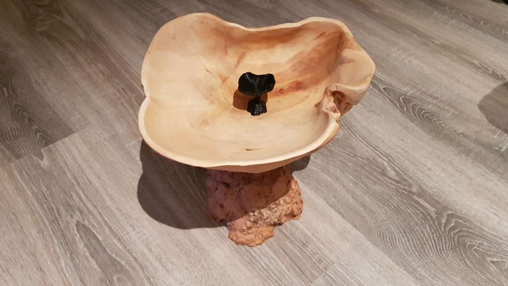 Tree Bowl created with photogrammetry
