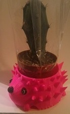 Hedgehog cactus holder