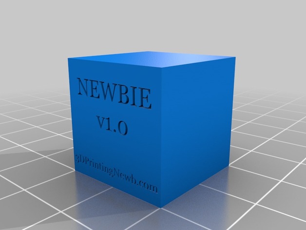 3D Printing Newb - Head v1.0