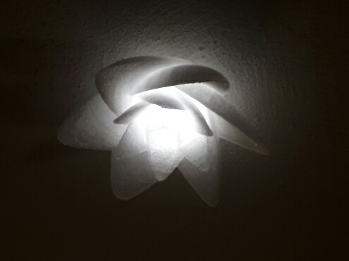 Lotus Style Lamp Cover