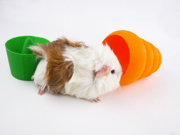 Guinea Pig Carrot Toy