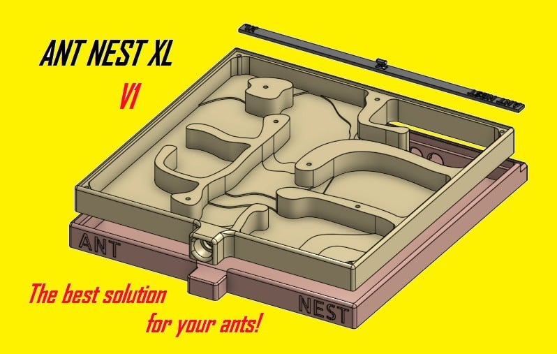 Ant Nest / Formicarium XL V1